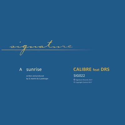 album Sunrise of Calibre, Drs in flac quality