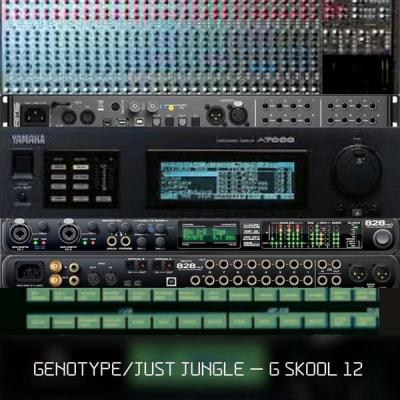 album G Skool Vol 12 of Just Jungle, Genotype in flac quality