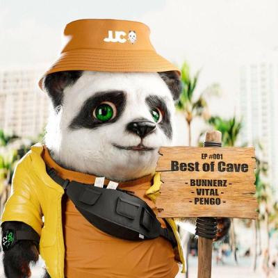 album Best Of Cave #001 of Bunnerz, Vital, Pengo in flac quality