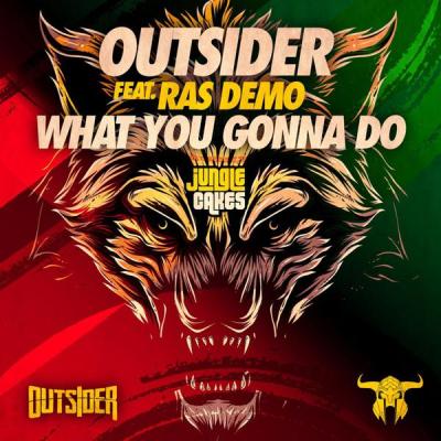 album What You Gonna Do of Outsider, Ras Demo in flac quality