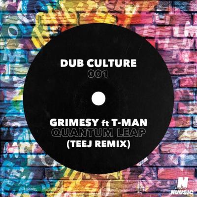 album Quantum Leap (Teej Remix) of Grimesy, T-Man in flac quality