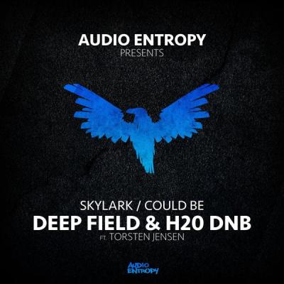 album Skylark of Deep Field, H20 DNB in flac quality