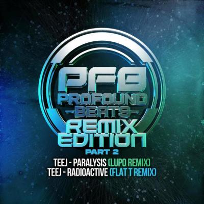 album Profound Beats Remix Edition Part 2 of Teej, Flat T, Lupo in flac quality