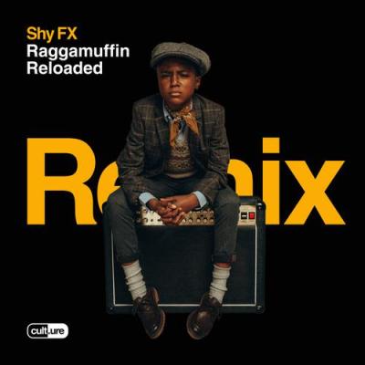 album Warning (Bou Remix) of Shy Fx, Gappy Ranks in flac quality