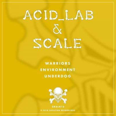album Stolen Files Ep of Scale, Acid_Lab in flac quality