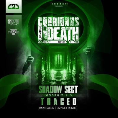 album Corridors Of Death Part 6 of Shadow Sect, Traced in flac quality