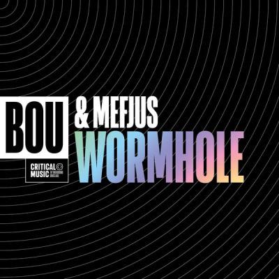 album Wormhole of Bou, Mefjus in flac quality