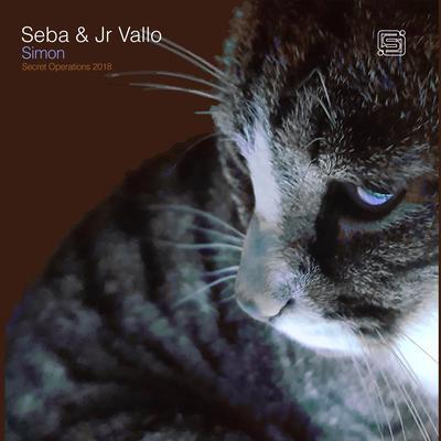 album Simon / Exit of Seba, Jr Vallo in flac quality