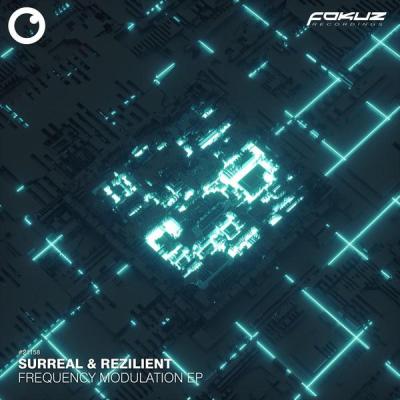 album Frequency Modulation EP of Surreal, Rezilient in flac quality