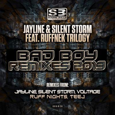 album Bad Boy Remixes 2019 of Jayline, Silent Storm, Ruffnek Trilogy in flac quality