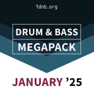 Drum & Bass January 2025 Megapack / 19 gb / 332 albums