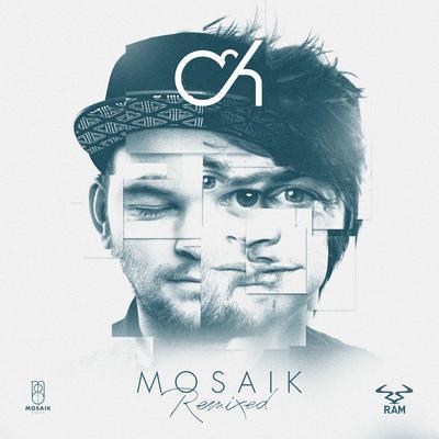 album Mosaik Remixed of Camo, Krooked in flac quality