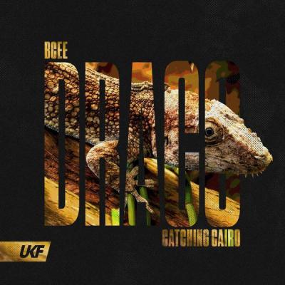 1dnb BCee, Catching Cairo - Draco FLAC Drum & Bass Album Secure