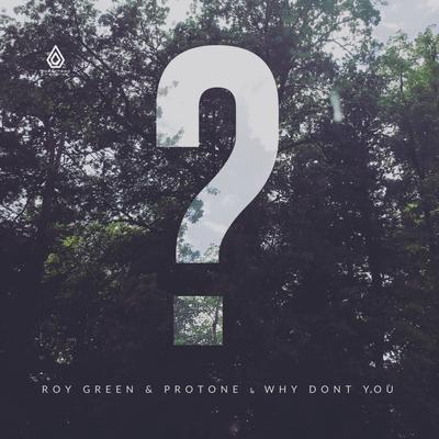 album Why Don't You EP of RoyGreen, Protone in flac quality