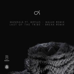 album Mandala (Malux Remix)  Last Of The Tribe (Break Remix) of Camo, Krooked in flac quality