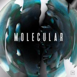 album Break The Habit of Molecular, Arkaik in flac quality