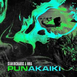 album Punakaiki of Sean Richards, Huia in flac quality