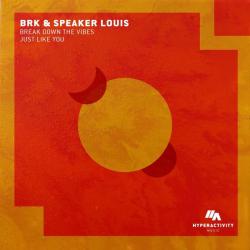 album Break Down The Vibes / Just Like You of BRK, Speaker Louis in flac quality