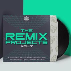 album The Remix Projects Vol. 7 of Rowney, Damage Report in flac quality