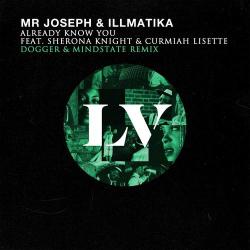 album Already Know You (Dogger & Mindstate Remix) of Mr Joseph, Mc Illmatika in flac quality