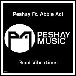 album Good Vibrations of Peshay, Abbie Adi in flac quality