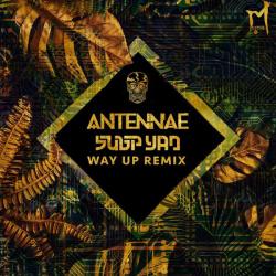 album Way Up (Subp Yao Remix) of An-Ten-Nae, Subp Yao in flac quality