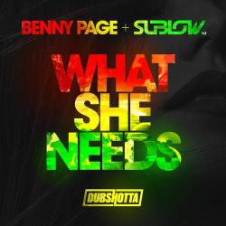 album What She Needs of Benny Page, Sublow Hz in flac quality