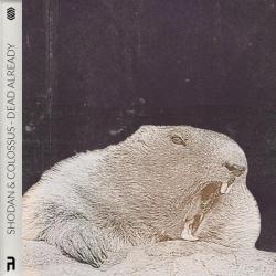 album Dead Already of Shodan, Colossus in flac quality