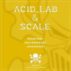 album Stolen Files Ep of Scale, Acid_Lab in flac quality