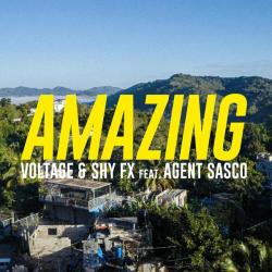album Amazing of Voltage, SHY FX, Agent Sasco in flac quality