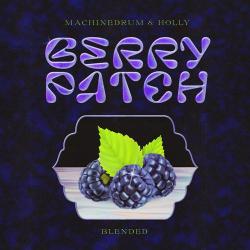 album Berry Patch: Blended of Machinedrum, Holly in flac quality