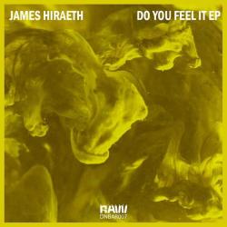 album Do You Feel It of James Hiraeth, Dnb Allstars in flac quality