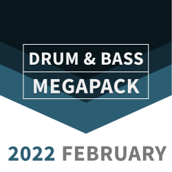 Drum & Bass 2022 FEBRUARY Megapack