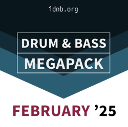 Drum & Bass 2025 FEBRUARY Megapack