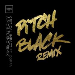 album Pitch Black (A.M.C & Turno Remix) of Critical Impact, Coppa in flac quality