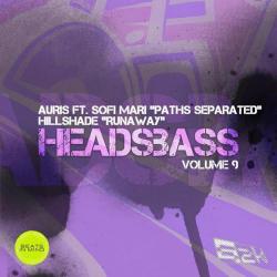 album Headsbass Volume 9 Part 1 of Auris, Sofi Mari, Hillshade in flac quality