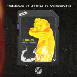 album Halo (Froidy Remix) of Temple, Shifu, Magenta in flac quality