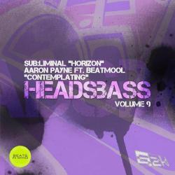 album Headsbass Volume 9 Part 3 of Sub:Liminal, Aaron Payne, Beatmool in flac quality